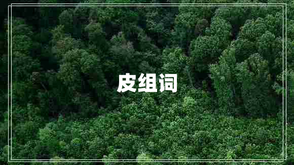 皮组词