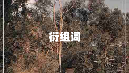 衍组词