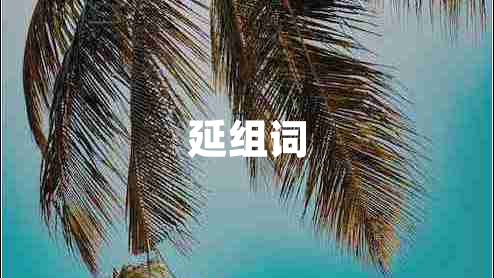 延组词