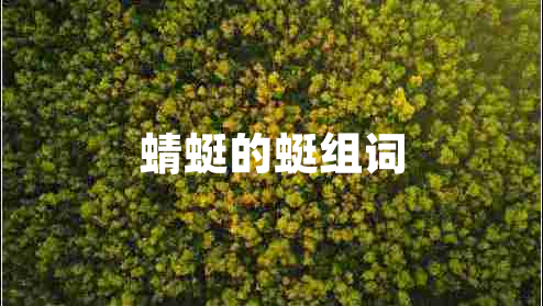 蜻蜓的蜓组词