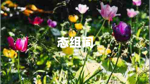 态组词