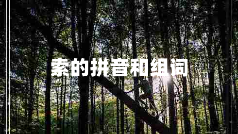索的拼音和组词