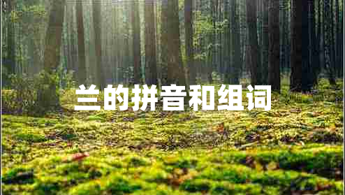 兰的拼音和组词