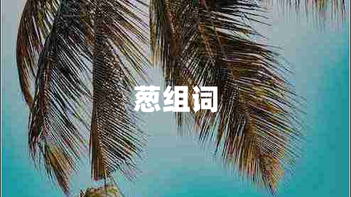 葱组词 葱组词