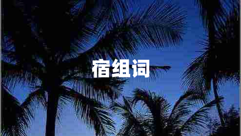 宿组词
