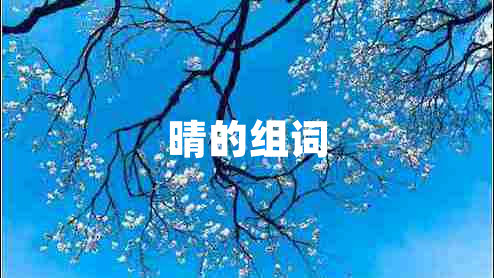 晴的组词