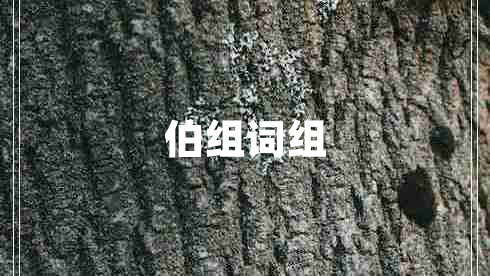 伯组词组