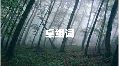 桌组词
