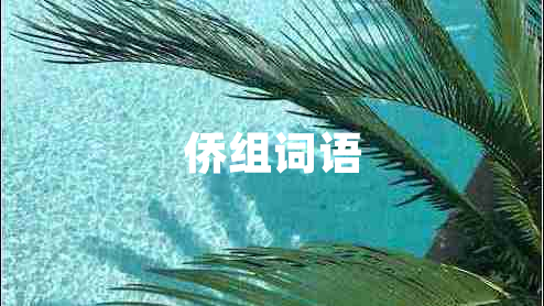 侨组词语