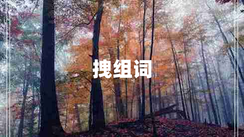 拽组词