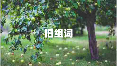 旧组词