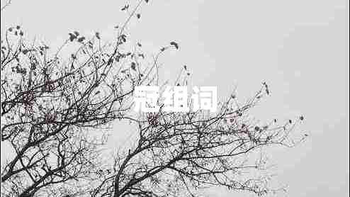冠组词