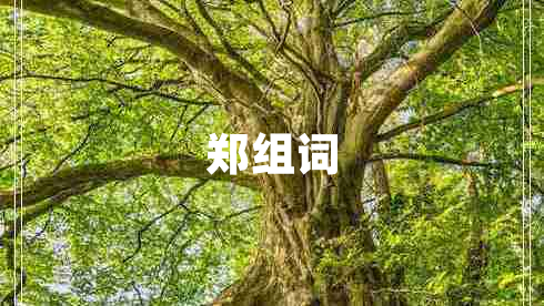 郑组词