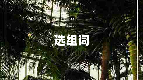 选组词