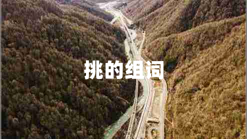 挑的组词