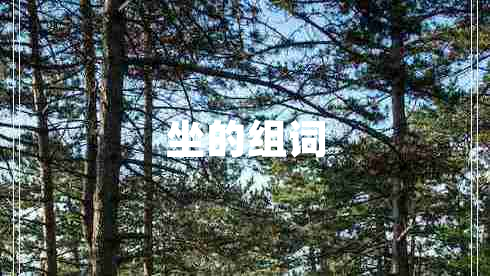 坐的组词