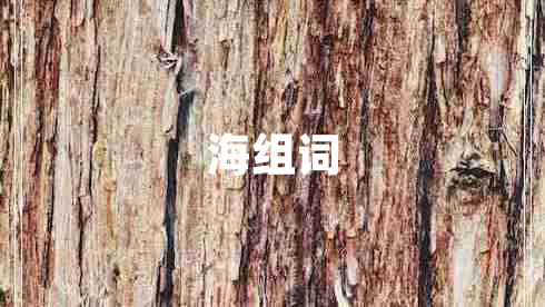 海组词