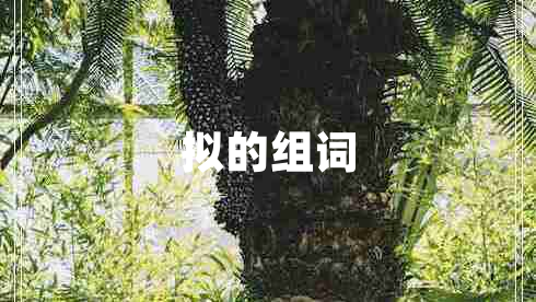 拟的组词 拟的组词