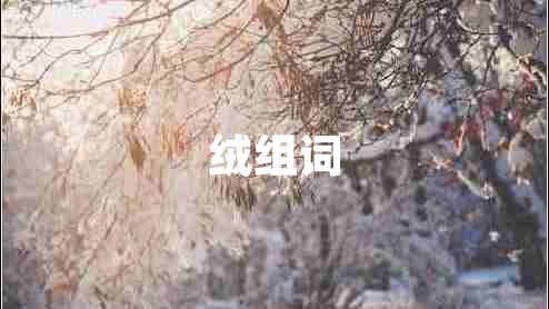 绒组词