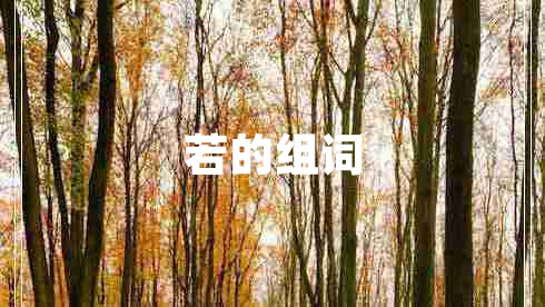 若的组词