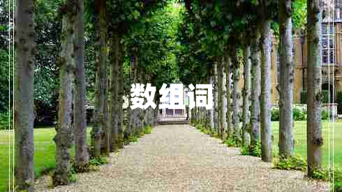 数组词