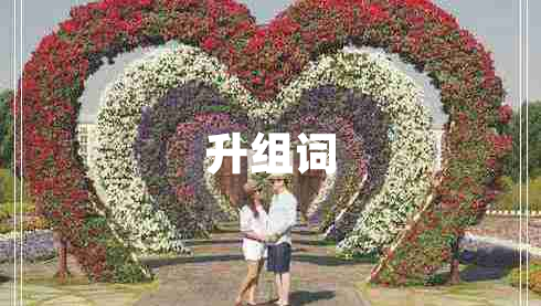 升组词