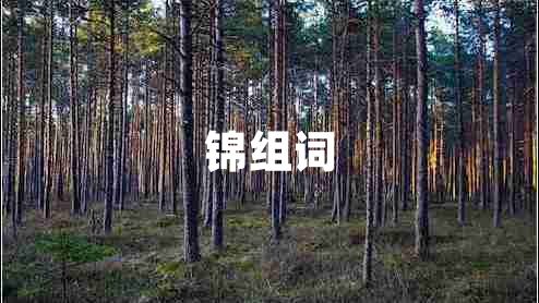 锦组词