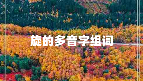 旋的多音字组词