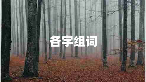 各字组词