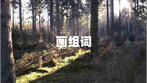 画组词
