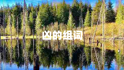 凶的组词