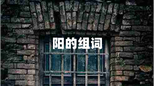 阳的组词