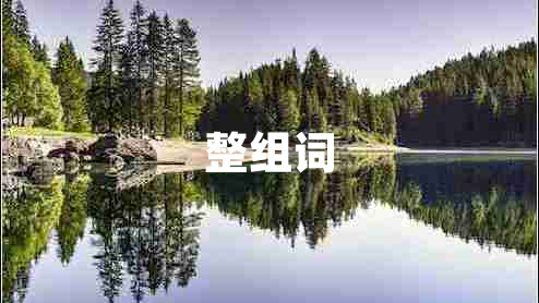 整组词