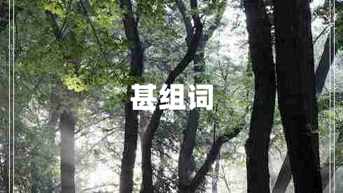 甚组词