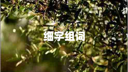 细字组词