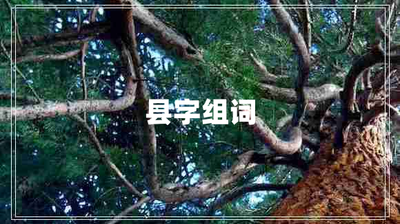 县字组词