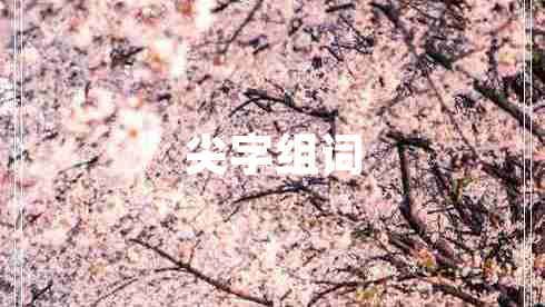 尖字组词