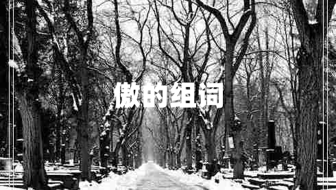 傲的组词