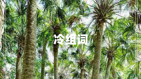 冷组词