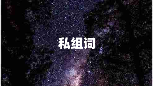 私组词