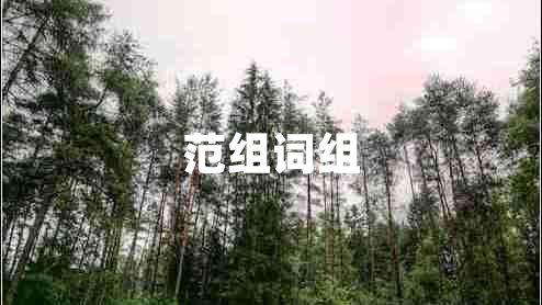 范组词组