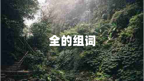 全的组词