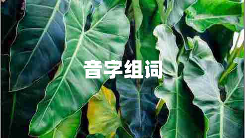 音字组词
