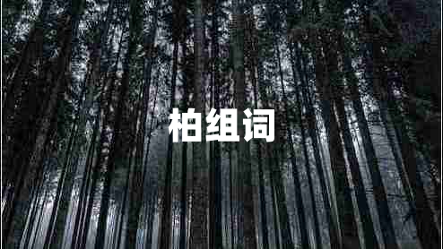 柏组词