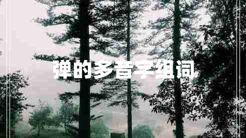 弹的多音字组词