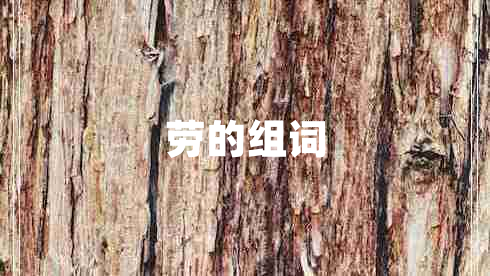 劳的组词