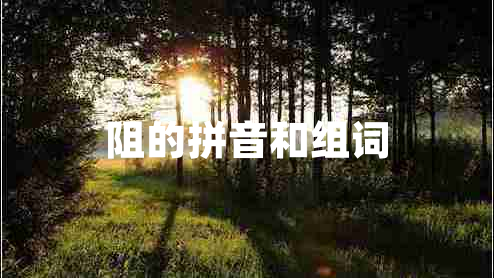 阻的拼音和组词