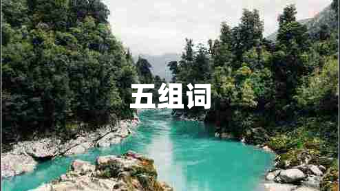 五组词
