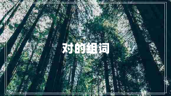 对的组词