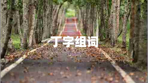 丁字组词